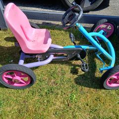 Berg go kart