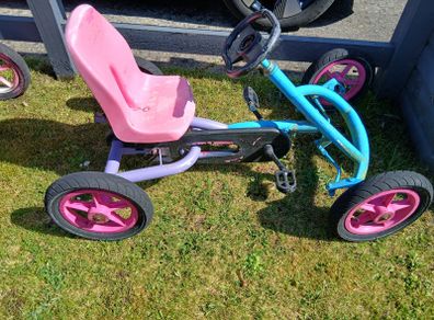 Berg go kart