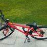 Kids Bicycle Image 6