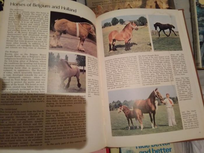 Horse / Equestrian Books