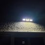 Solar Lamp Image 5