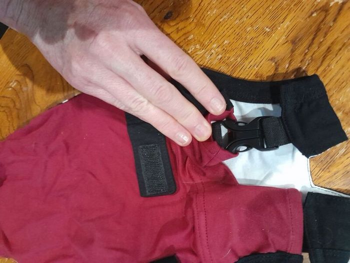 cat recovery suit