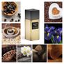 Mystique Myrrhe Extrait de parfum by Welton London Image 2