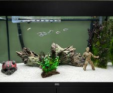 Aquarium Juwel Rio 125