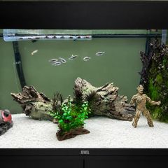 Aquarium Juwel Rio 125