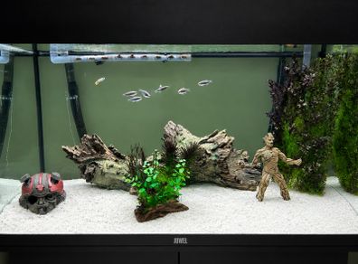 Aquarium Juwel Rio 125