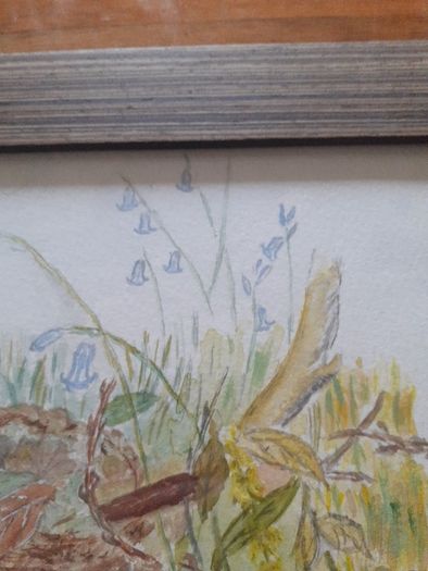 Watercolour.