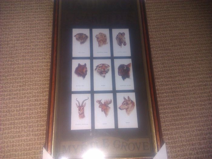 Taddy & Co. Cigarettes. Myrtle Grove .Framed