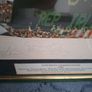 Framed Signed 1988 European Championship Photo Ireland vs England Image 9
