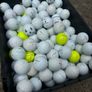 50 Titleist (Prov1) Golf Balls Image 2