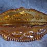 Vintage amber banana bowl Image 3