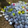 golf balls 400 Image 4