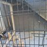 Rabbit Hutch Image 5