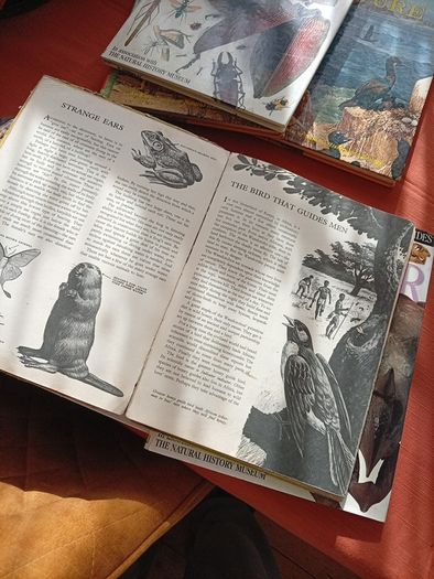Nature Books