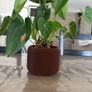 Plant Pot Cover Image 7