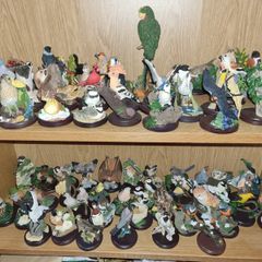 Country Bird Collection By Andy Pearce