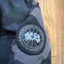 canada goose Image 5