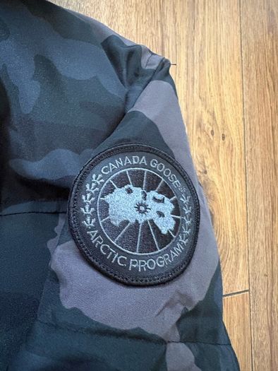 canada goose