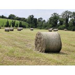 Good quality hay