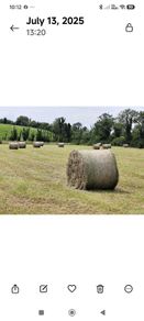 Good quality hay