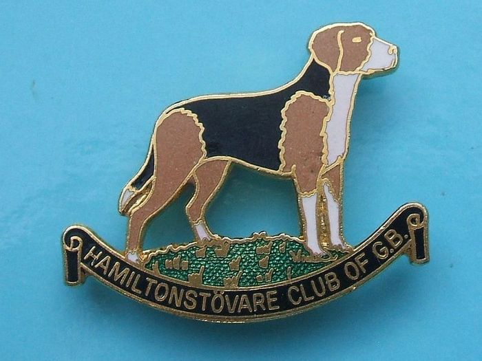 HAMILTONSTOVARE CLUB OF GREAT BRITAIN (hunting hound dog breed) - enamel membership badge (1980's)