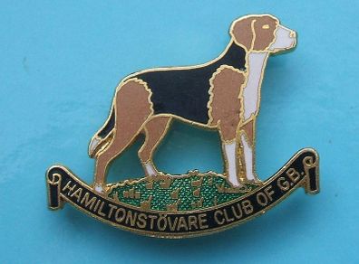 HAMILTONSTOVARE CLUB OF GREAT BRITAIN (hunting hound dog breed) - enamel membership badge (1980's)