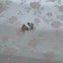 Divan bed base free Image 2