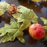 Autumn Garland & Leaf Decorations Image 4