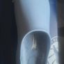 Birkenstock crocks were 119  paid 70  Sell for 60euro Image 4