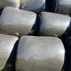Silage