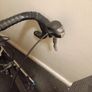 Lapierre Audacio 400 road bike - Shimano Tiagra Image 3