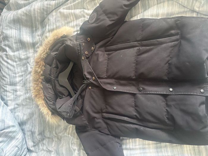 canada goose