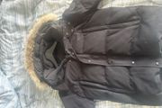 canada goose