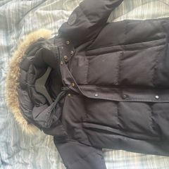 canada goose
