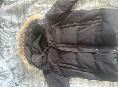 canada goose