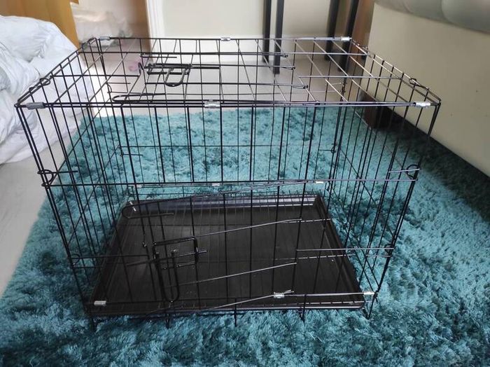 pet crate
