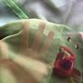 Lovely curtains for kids room Image 4