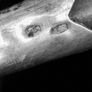 Wall decoration horn with 875 silver Image 2