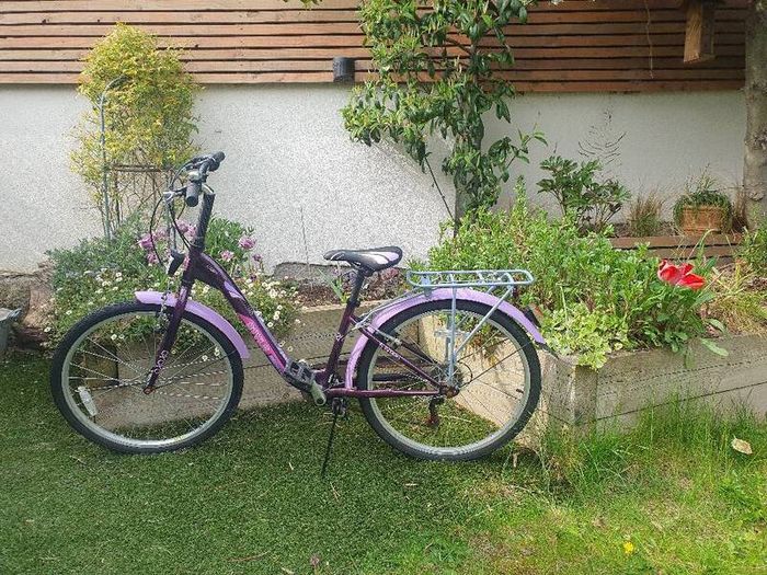 Girls  24" Bicycle/Ken Black Purple with stand and back carrier