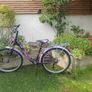 Girls  24" Bicycle/Ken Black Purple with stand and back carrier Image 2