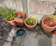 Pots
