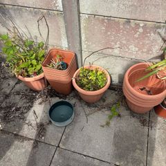 Pots