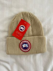 canada goose