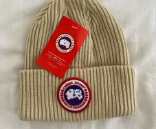 canada goose