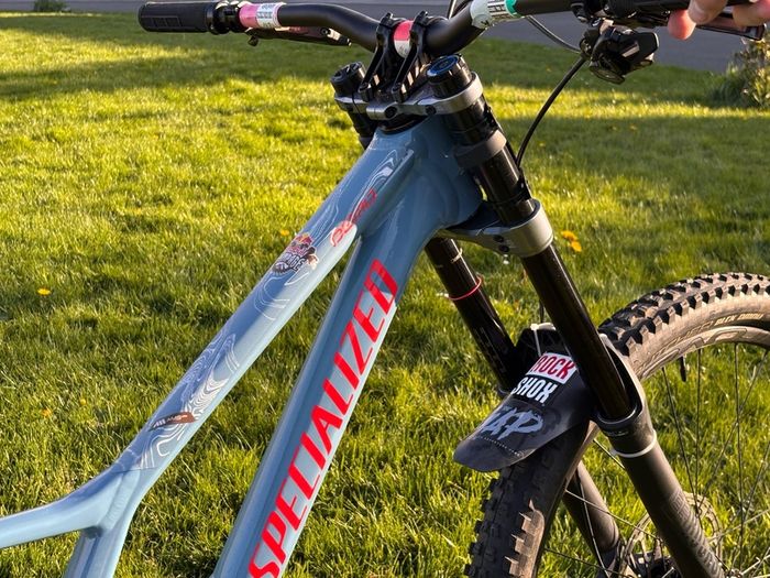 mountain bike specialised demo expert