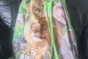Dublin Zoo back pack