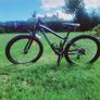Orbea MX 24 bike Image 6
