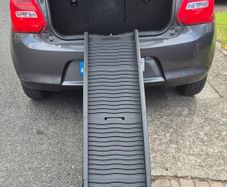 Dog Ramp