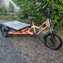 Rad bikes RadBurro cargo bike Image 2