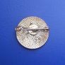 INTERNATIONAL ORNITHOLOGISTS CONGRESS 1970 (The Hauge, Netherlands) - a delegate's attendance badge Image 2